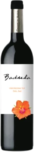 Badula Tinto Red wytrawne 2017. 0,75L