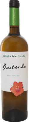 selecionada white