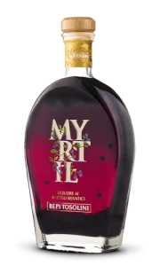 Myrtil – Likier z dzikich jagód 700 ml   