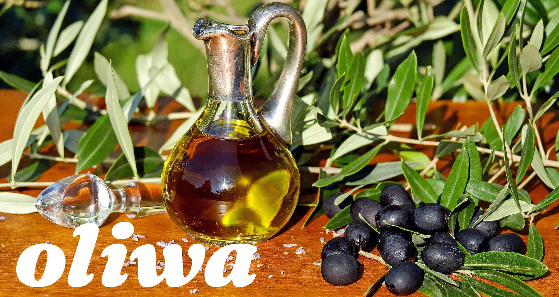 oliwa